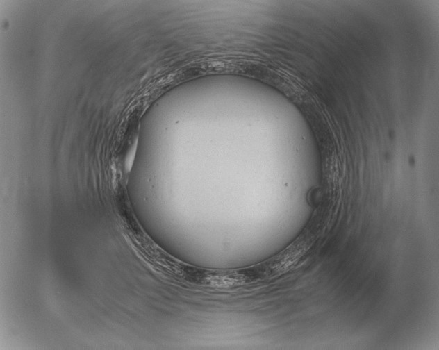 X0000053110703200508012125