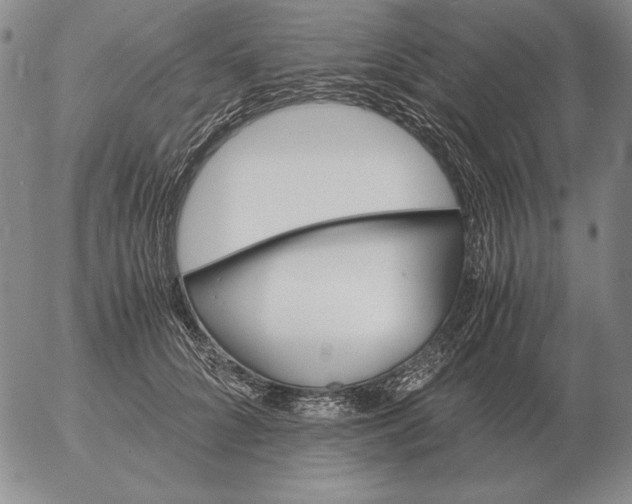 X0000053110704200508012125