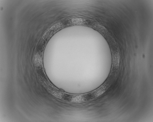 X0000053110705200508012125