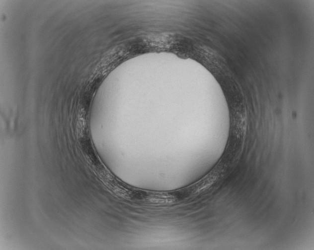 X0000053110707200508012125