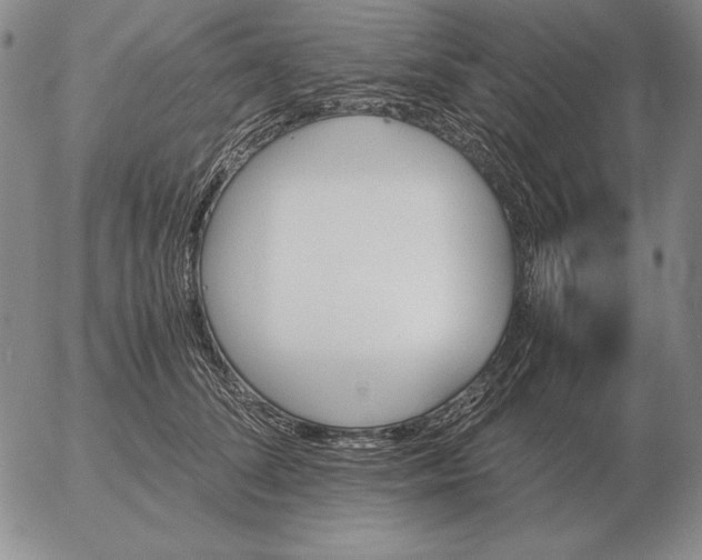 X0000053110708200508012125