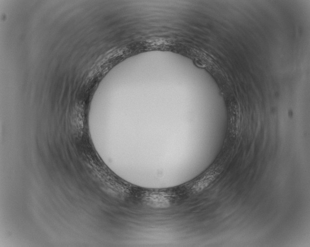 X0000053110710200508012125