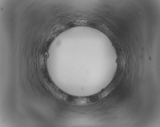 X0000053110711200508012125