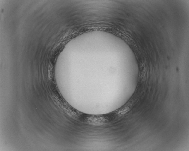 X0000053110712200508012125