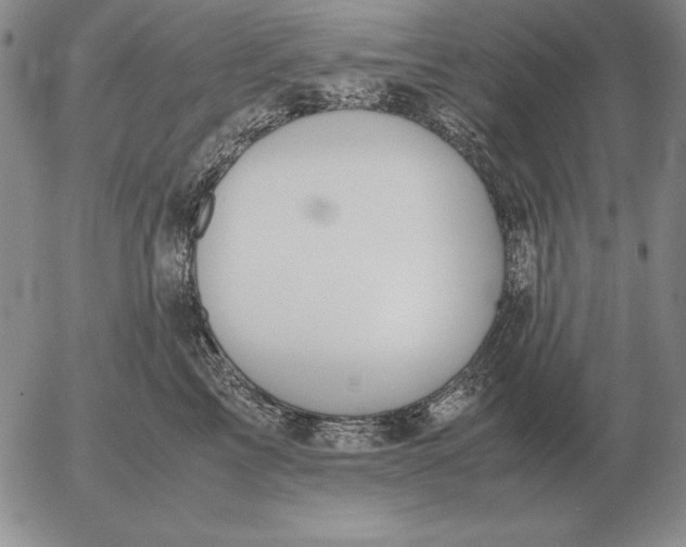 X0000053110713200508012125