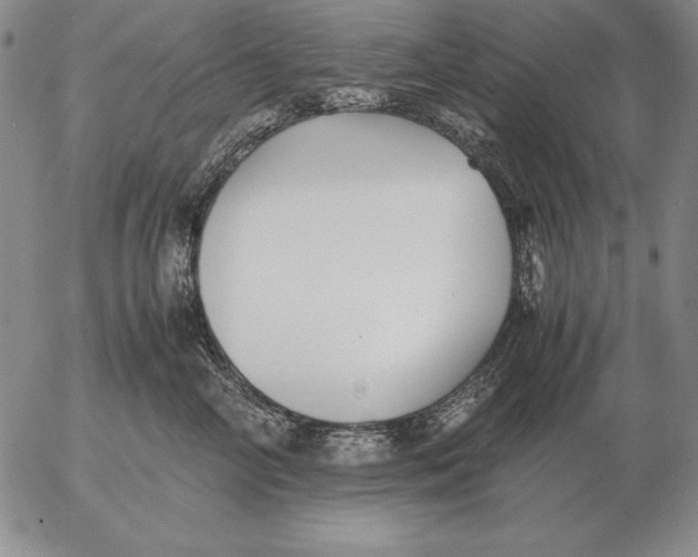 X0000053110714200508012125