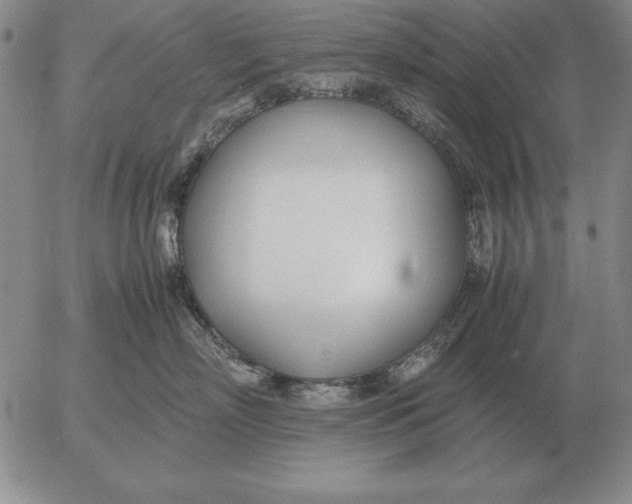 X0000053110718200508012125