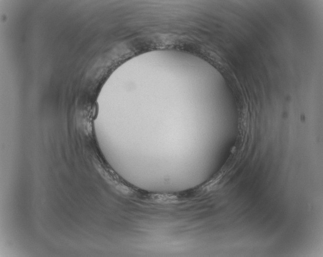 X0000053110719200508012125