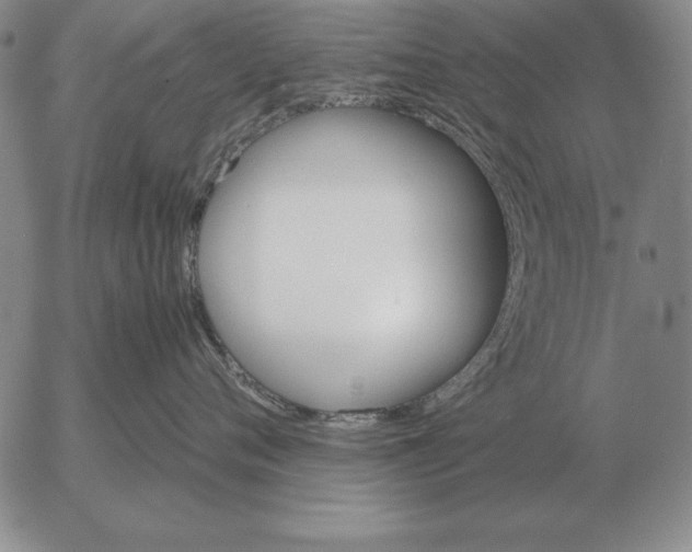 X0000053110720200508012124