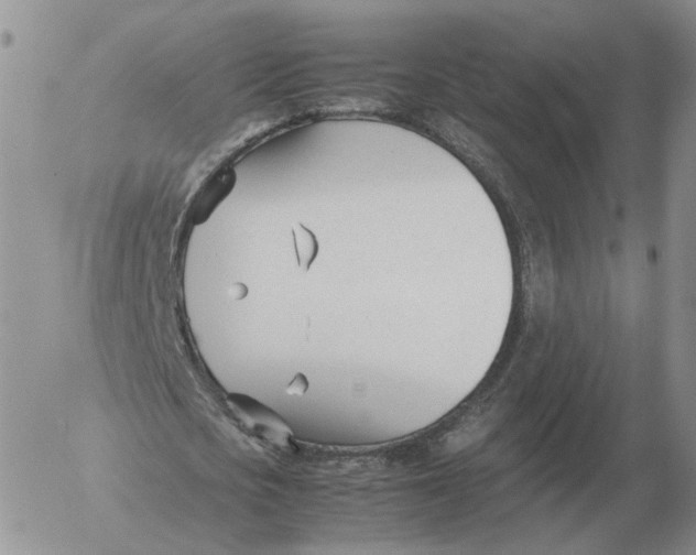 X0000053110721200508012124