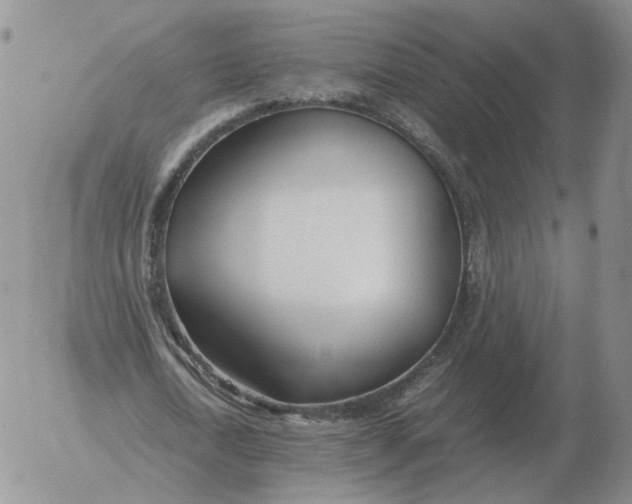 X0000053110722200508012124