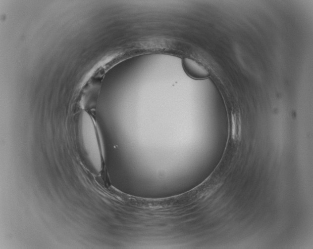 X0000053110723200508012124