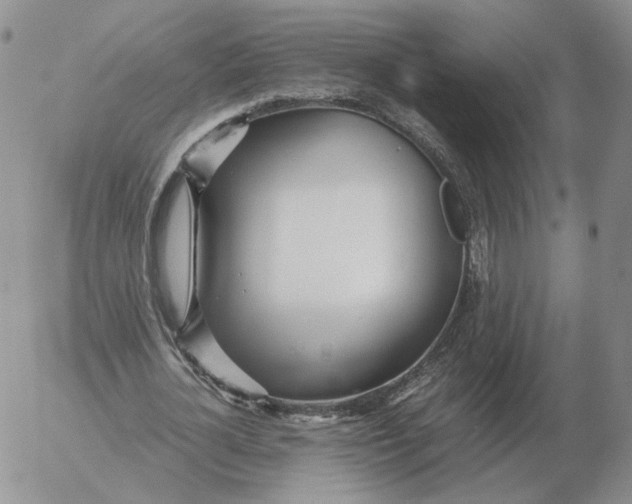 X0000053110724200508012124