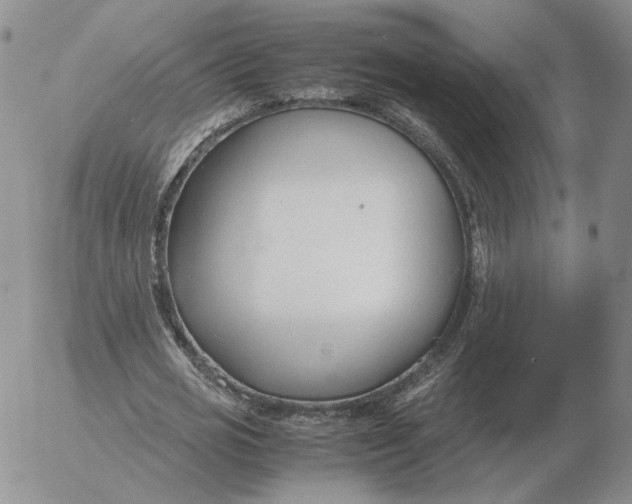 X0000053110725200508012124