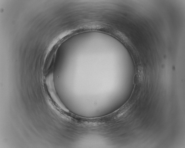 X0000053110726200508012124