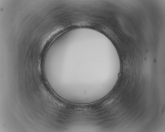 X0000053110727200508012124