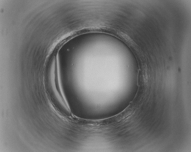 X0000053110728200508012124