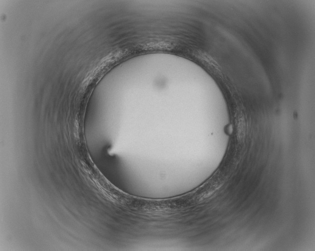 X0000053110729200508012124