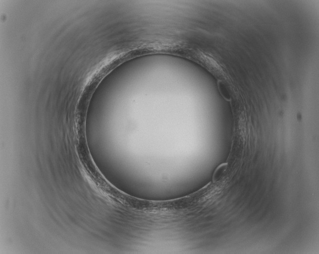 X0000053110730200508012124