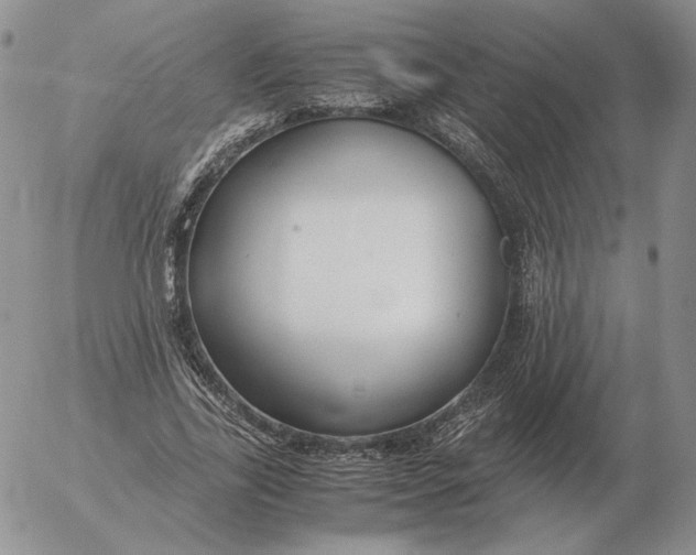 X0000053110731200508012124