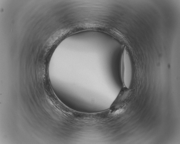 X0000053110732200508012124