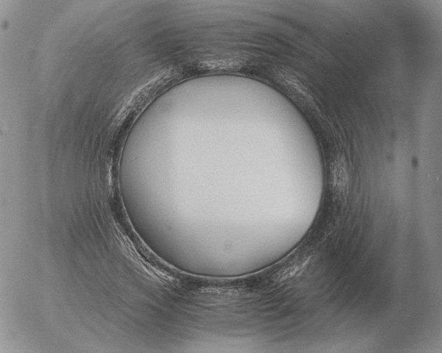 X0000053110733200508012124