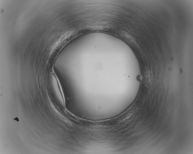 X0000053110734200508012124