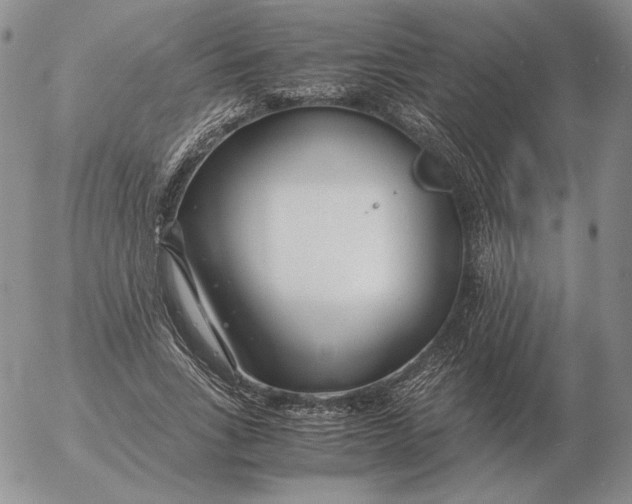 X0000053110735200508012124