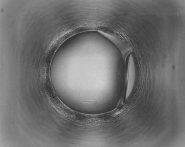 X0000053110736200508012124