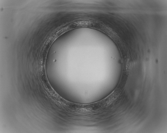 X0000053110737200508012124