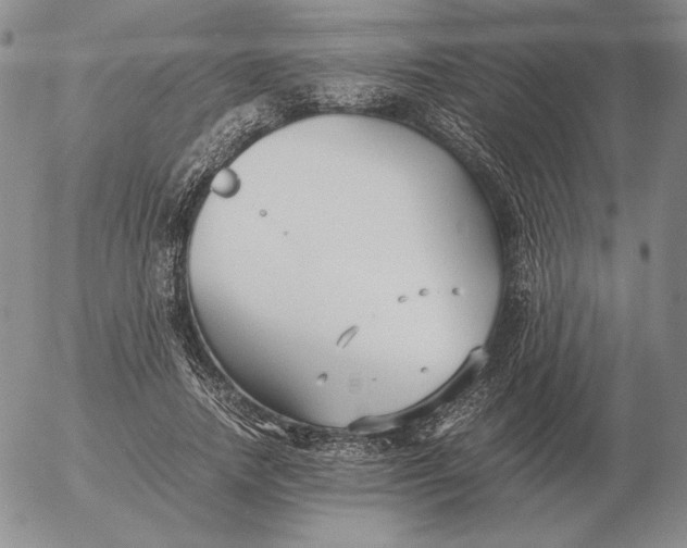 X0000053110738200508012124