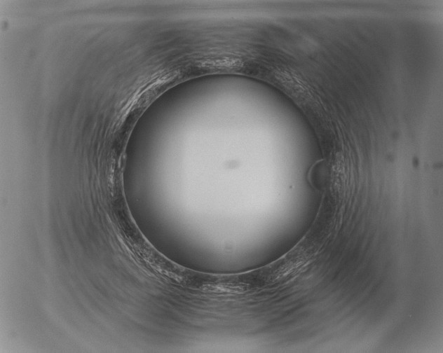 X0000053110739200508012124