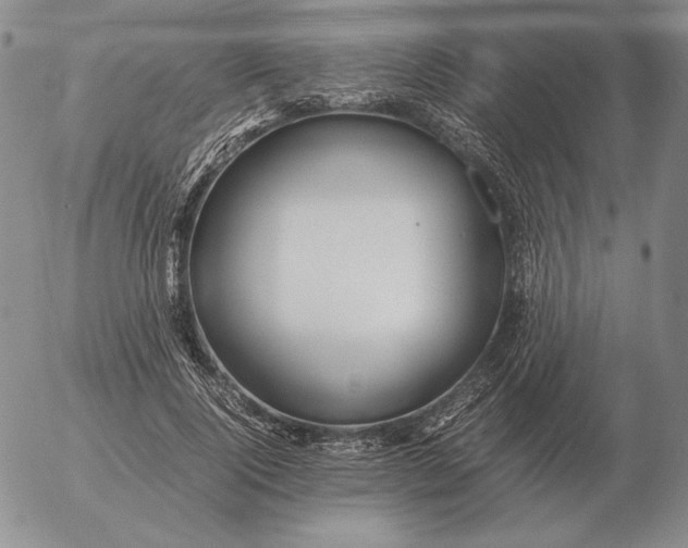 X0000053110740200508012124