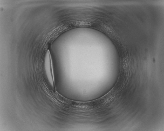 X0000053110741200508012124