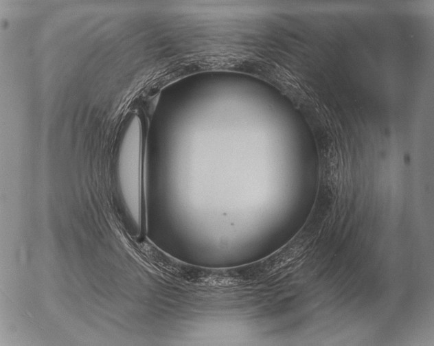 X0000053110742200508012124