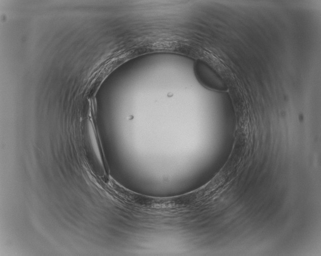 X0000053110744200508012124