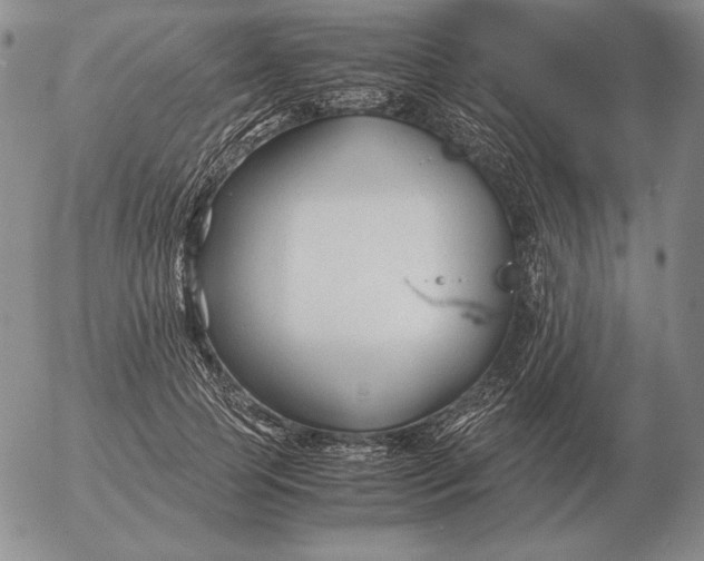 X0000053110745200508012124