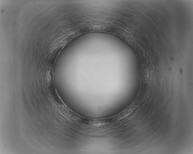 X0000053110746200508012124