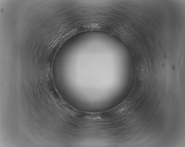 X0000053110747200508012124