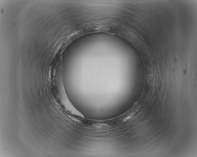 X0000053110748200508012124