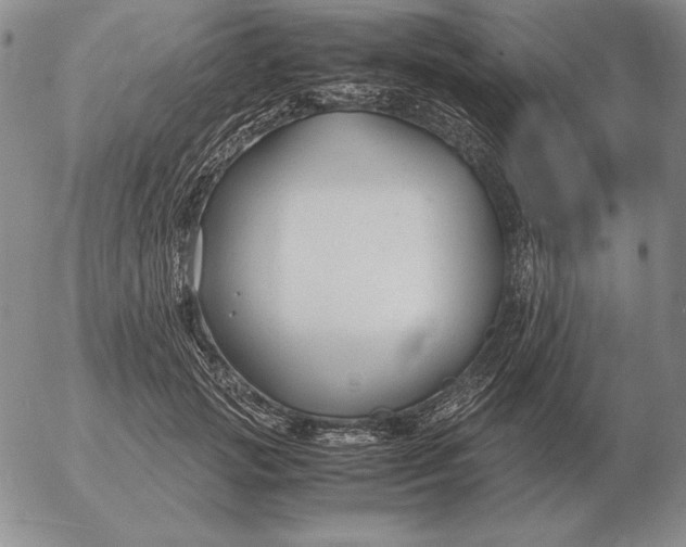 X0000053110749200508012124