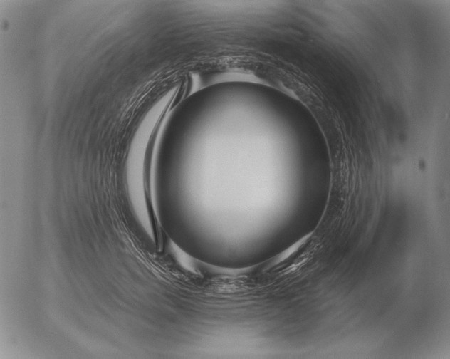 X0000053110750200508012124