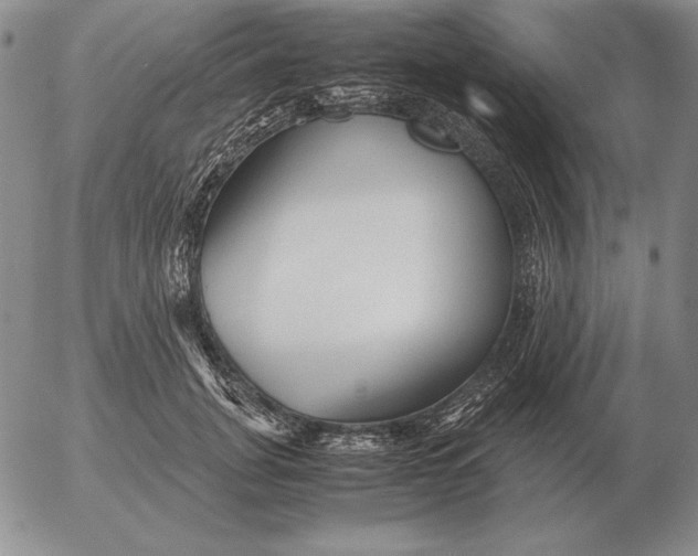 X0000053110751200508012124