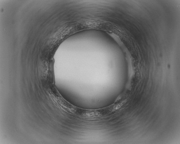 X0000053110752200508012124