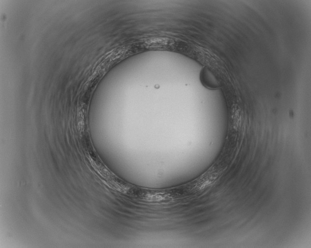 X0000053110753200508012124