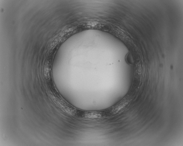 X0000053110754200508012124