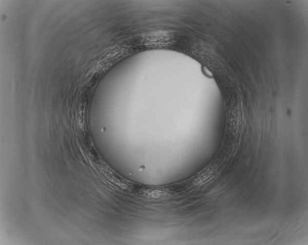 X0000053110755200508012124