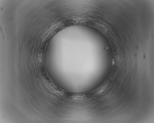 X0000053110756200508012124