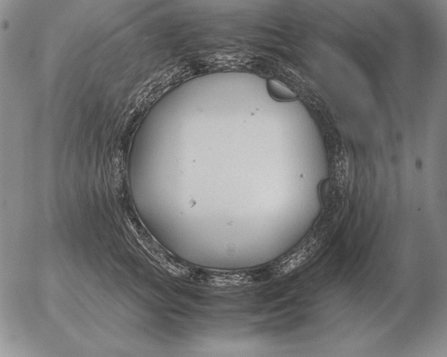 X0000053110757200508012124