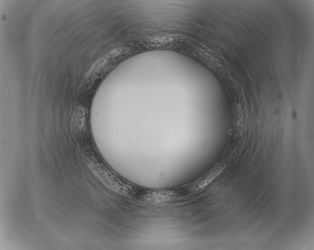 X0000053110758200508012124